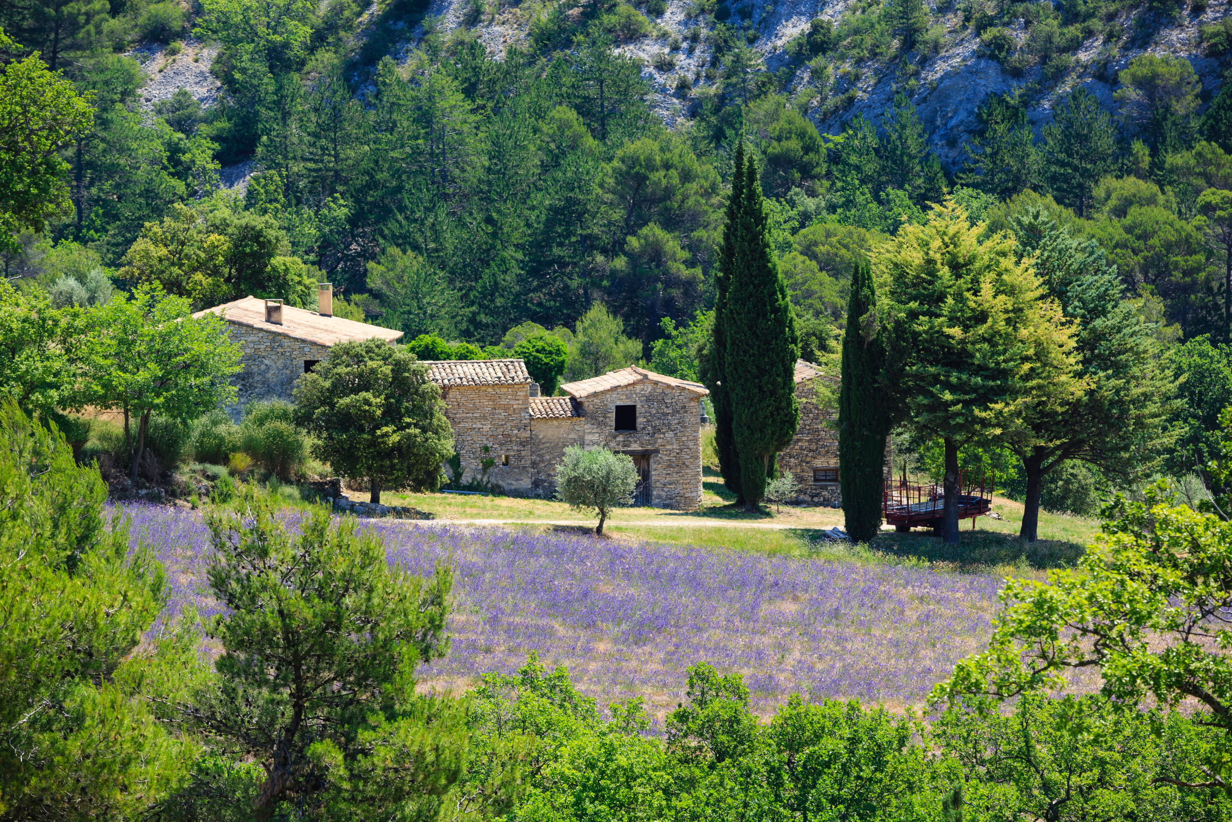 iStock-481293840 -R.jpg La douce France