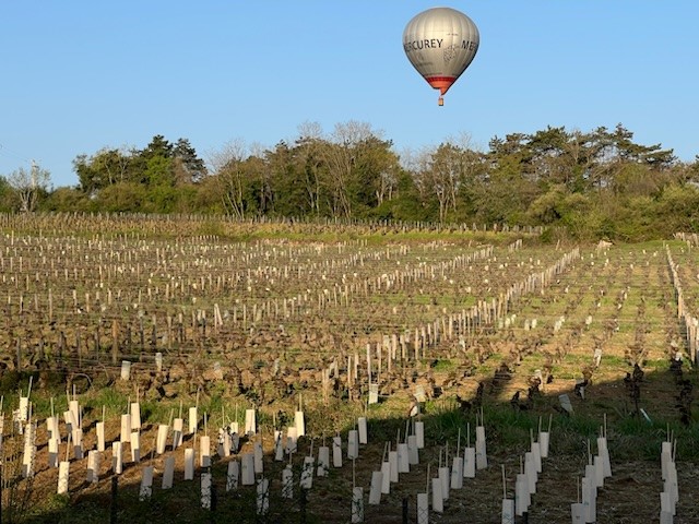 luchtballon-mercurey