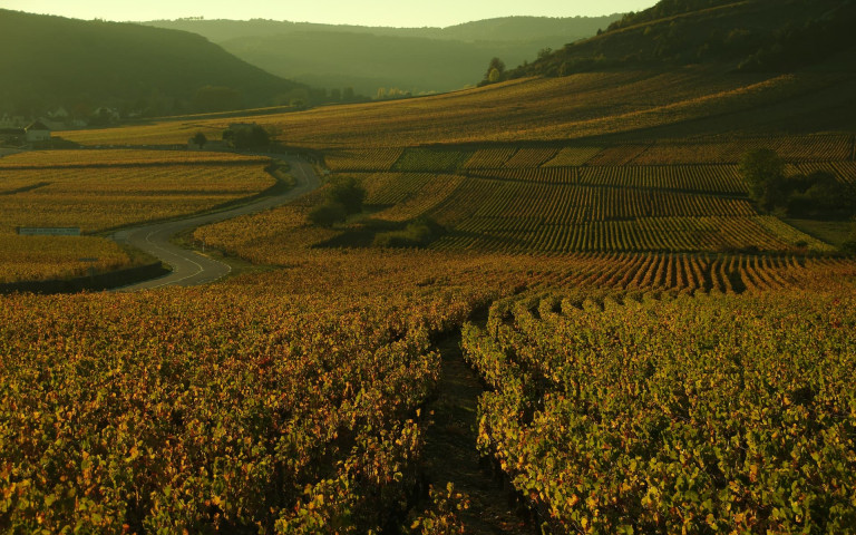 wyw2f-bourgogne