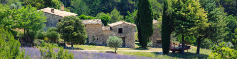 iStock-481293840 -R.jpg La douce France