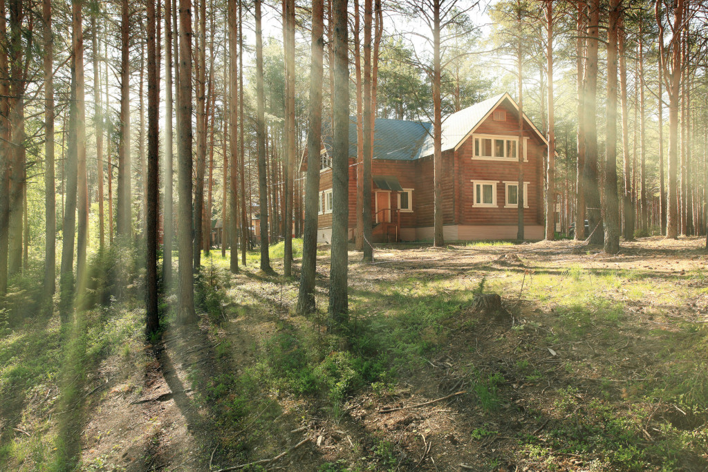 frankrijk-bosbranden-informatie